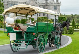 Limerick Carriage Tours @Adare Manor